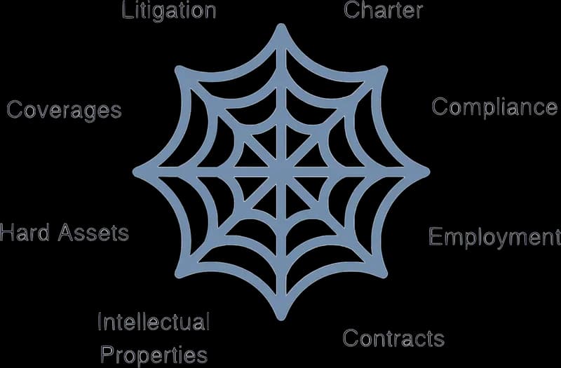 Ansugi Spider Web Diagram