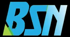 bisnisnasional.com